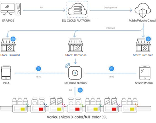 PT Network